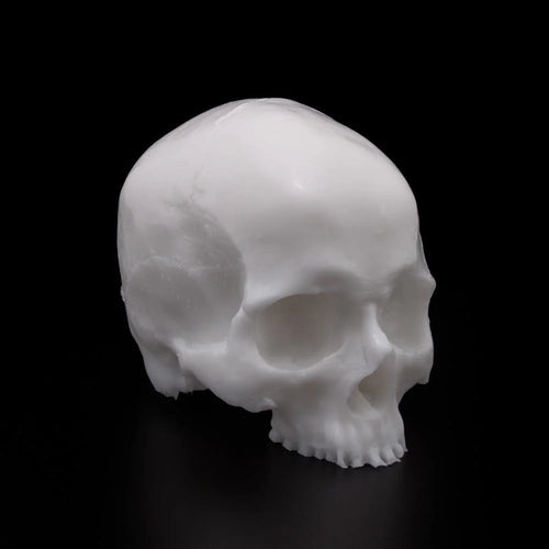 A Pound of Flesh Yorick Skull