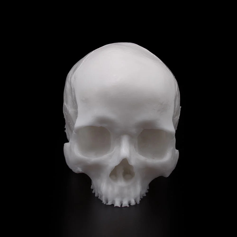 A Pound of Flesh Yorick Skull